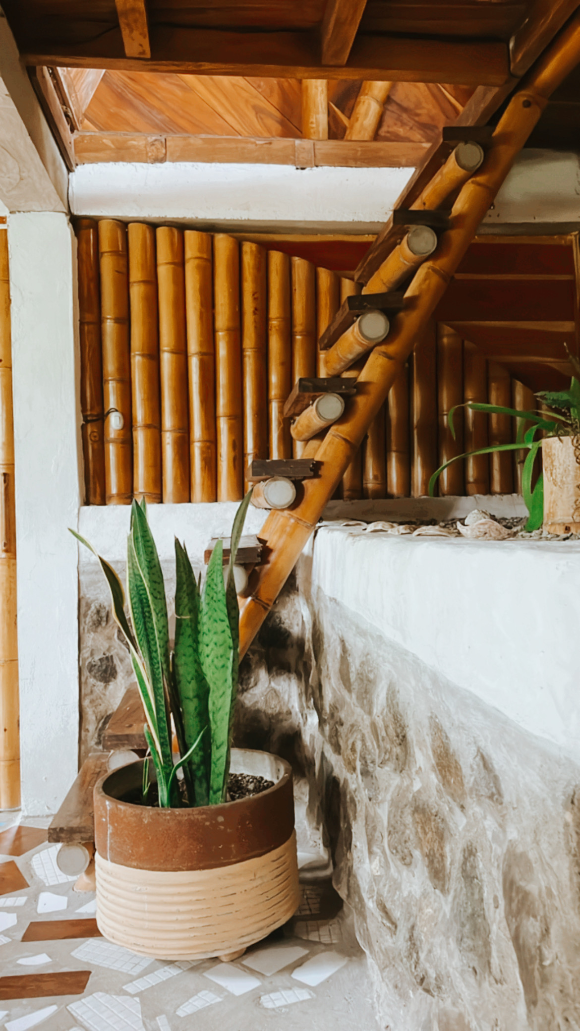 Bamboo House Ecuador