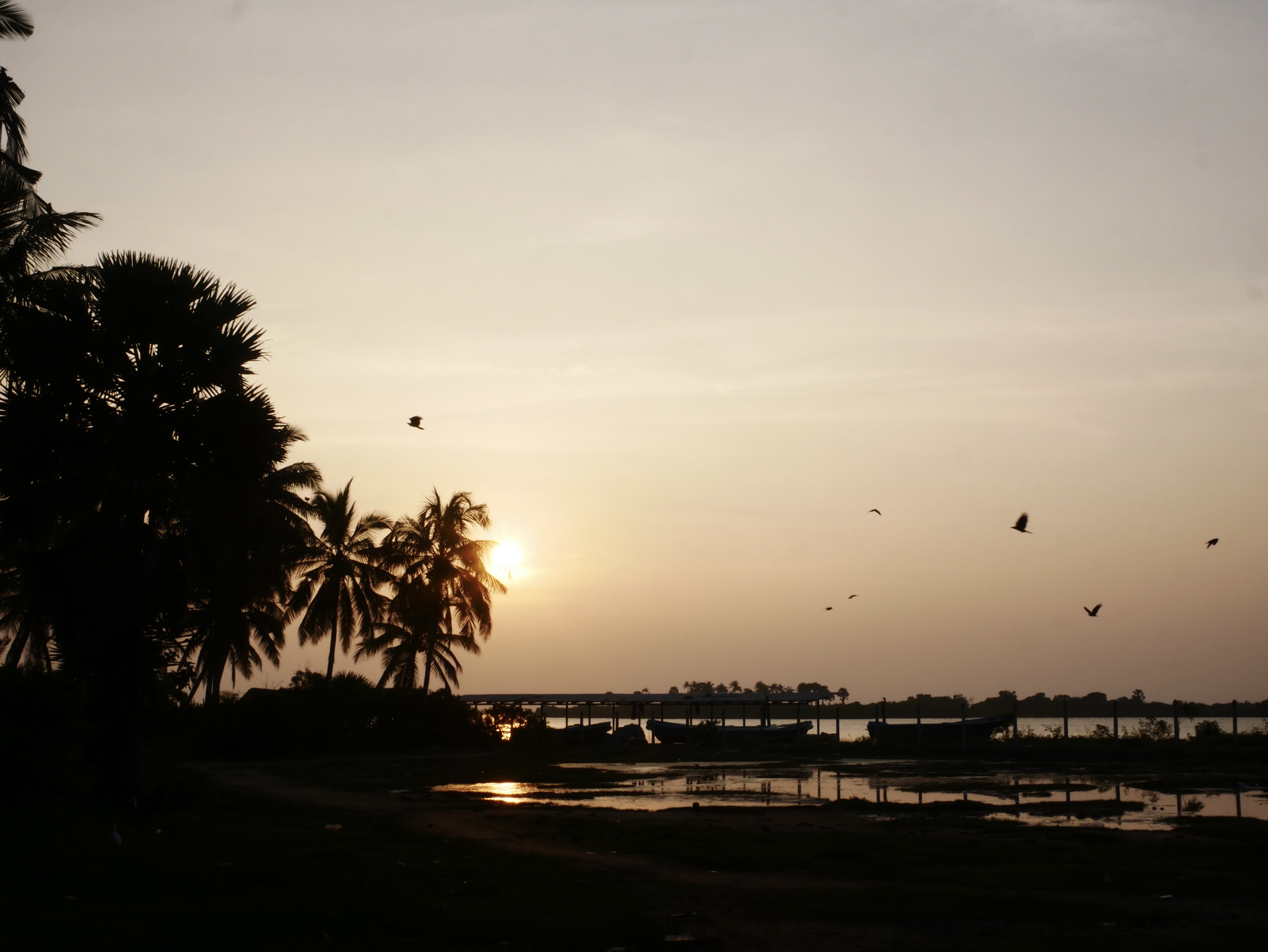Sri Lanka