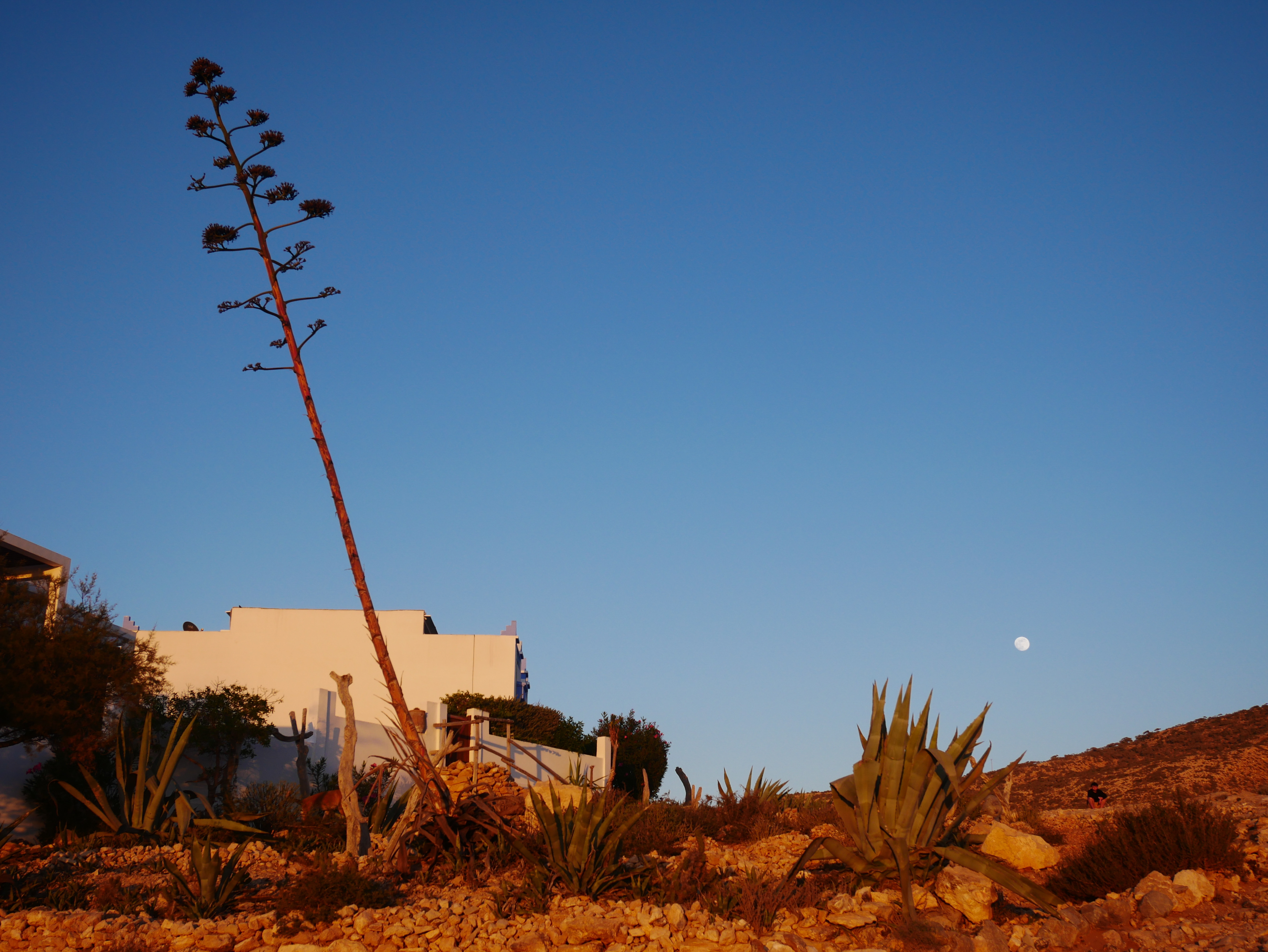 Hotel, Morocco
