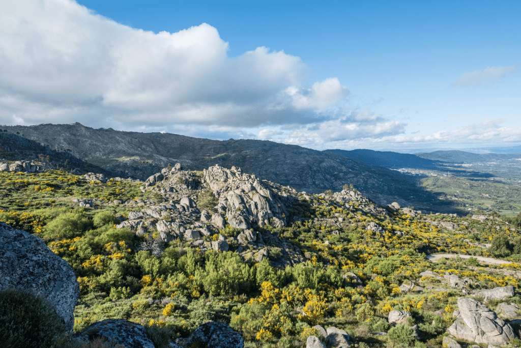 Portugal For Lonely Planet